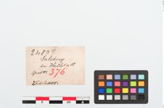Etiketten zu Bronzebrillenfibel (NHMW-PRAE-024807)